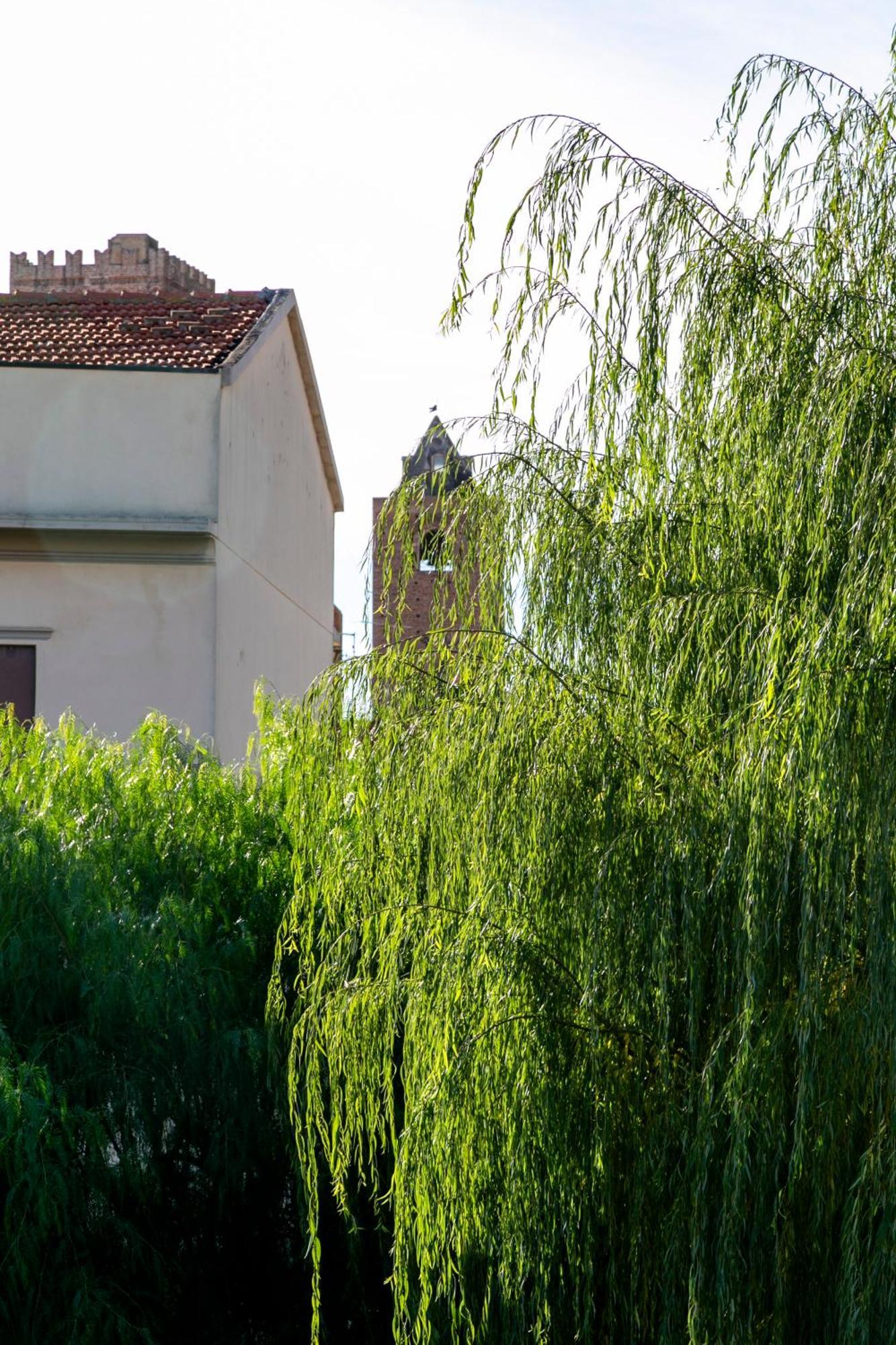 Villa Marlene B&B Albenga Exterior foto