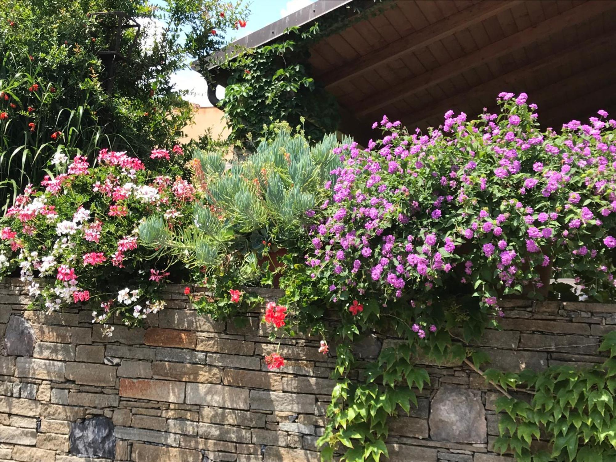Villa Marlene B&B Albenga Exterior foto